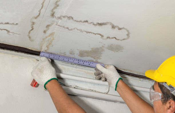 Affordable Water Damage Repair solutions in Round O, SC